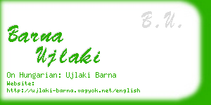 barna ujlaki business card